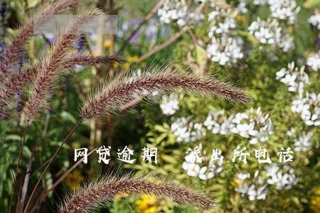 网贷逾期 派出所电话